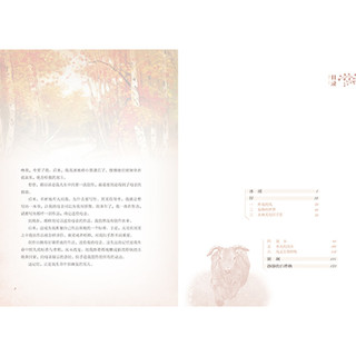 《青青望天树·中国原创儿童生态文学精品书系：斑斓》