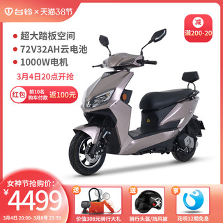 TAILG 台铃 TL1000DT-31 电动车