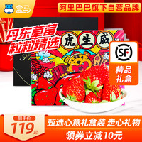 盒马现货正宗丹东99红颜草莓礼盒装当季时令新鲜水果现摘现发顺丰