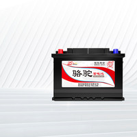 CAMEL 骆驼 蓄电池 6-QW-36 汽车蓄电池 12V