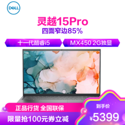 DELL 戴尔 灵越15Pro-5510 15.6英寸高性能软件滤蓝光独显商务笔记本电脑标压标配