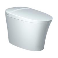 diiib 大白 DMMT001-305 一体式智能坐便器 305mm