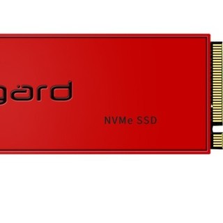 Asgard 阿斯加特 AN3+ 1TBNVMe M.2/80 NVMe M.2 固态硬盘 1TB (PCI-E3.0)