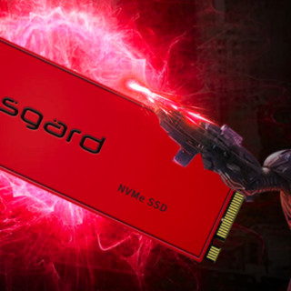 Asgard 阿斯加特 AN3+ 1TBNVMe M.2/80 NVMe M.2 固态硬盘 1TB (PCI-E3.0)