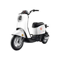 Yadea 雅迪 DM2 电动自行车 48V24Ah锂电池 星空白