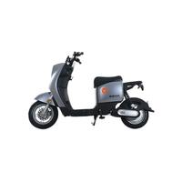 Yadea 雅迪 DM2 电动自行车 48V24Ah锂电池 金属钛灰