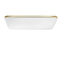 Panasonic 松下 盈辰系列 HHLAZ4016A 客厅吸顶灯 67W 金色 800*500*100mm