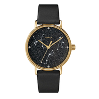 TIMEX 天美时 37毫米石英腕表 TW2T87600