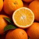 PLUS会员：农夫山泉 纽荷尔脐橙 水果礼盒 5kg