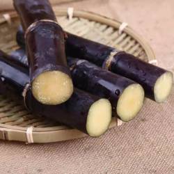 广西现采黑皮甘蔗5斤中段
