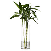 盛世泰堡 花瓶 北歐富貴竹百合透明水培玻璃插花器 直桶款25cm