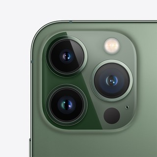 Apple 苹果 iPhone 13 Pro Max系列 A2644国行版 5G手机 256GB 苍岭绿色