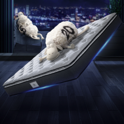 Serta 舒达 核心技术床垫 MIRA COIL连续弹簧支撑系统 偏硬1.8米×2米床垫朗悦