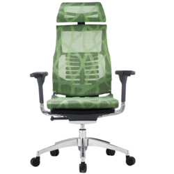 Ergonor 保友办公家具 POFIT 智能电脑椅 绿色