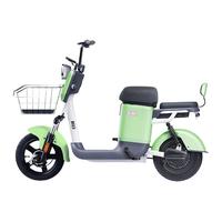 SUNRA 新日 XCS 电动自行车 TDT0690Z 48V12Ah锂电池 本彩浅绿/流云白