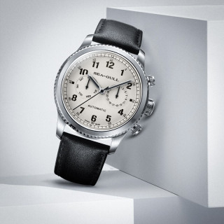 sea-gull 海鸥 飞行员系列 男士机械表 819.93.6080