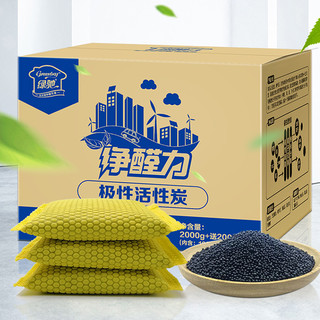 Greensky 绿驰 极性活性炭 100g*22包