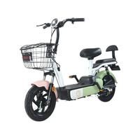 ZUB 五星钻豹 A3 电动自行车 TDT19-1Z 48V12Ah铅酸电池 源彩浅粉/源彩绿