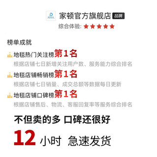 家顿 加厚卧室地毯可爱少女床边毯卡通客厅飘窗垫浴室吸水门口地垫毛毯