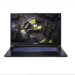 百亿补贴hasee神舟战神z7da5np156英寸游戏笔记本电脑i512500h16gb512