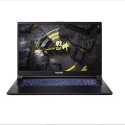 Hasee 神舟 战神S8D63 15.6英寸游戏笔记本电脑（i7、16GB、512GB、RTX4060）