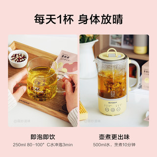 BUYDEEM 北鼎 红豆薏米茶袋泡茶红豆茶薏苡仁茨实养生茶包袋装赤小豆花草茶