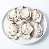 参味臻鲜 生蚝 XXXL号 2kg