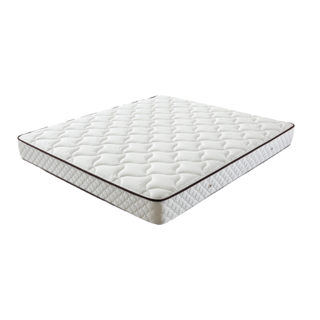 椰棕床垫 邦尼尔弹簧床垫 抑菌防螨床垫 极光白2S 1.8x2米