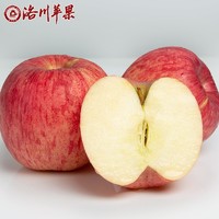 PLUS会员：luochuanapple 洛川苹果 陕西洛川红富士苹果 彩箱礼盒  80~85mm  带箱约10斤