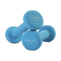 PROIRON 浸塑哑铃 PRO-ZY-JS01 蓝色 1kg*2
