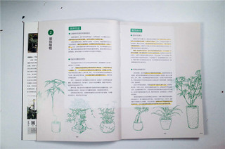 绿植之美：80种文艺感观叶植物挑选 装饰 养护