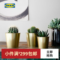 IKEA 宜家DAIDAI戴戴装饰用花盆北欧创意绿植花盆 黄铜色