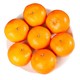 PLUS会员：粤云山 沃柑 现摘柑橘子 4.5斤中大果(65-70mm)