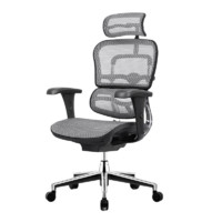 Ergonor 保友办公家具 金豪B 人体工学电脑椅 黑+银白色 美国网款 高配版