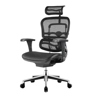 金豪B 人体工学电脑椅 黑色 美国网款 高配版