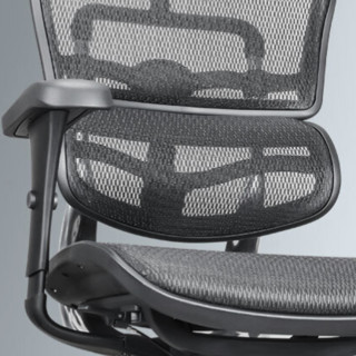 Ergonor 保友办公家具 金豪B 人体工学电脑椅 黑色 美国网款 高配版