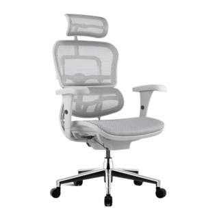 Ergonor 保友办公家具 金豪B 人体工学电脑椅 灰+银白色 美国网高头枕款 高配版