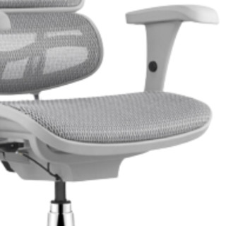 Ergonor 保友办公家具 金豪B 人体工学电脑椅 灰+银白色 美国网高头枕款 高配版