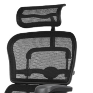 Ergonor 保友办公家具 金豪B 人体工学电脑椅+躺舒宝 黑色 美国网款 高配版