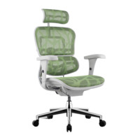 Ergonor 保友办公家具 金豪B 人体工学电脑椅 灰+绿色 纹型网款 高配版