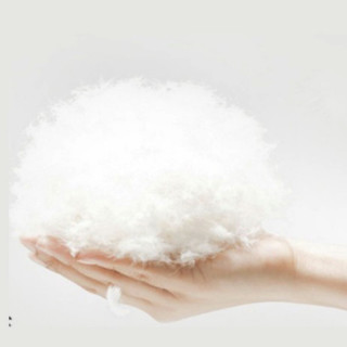 OBXO 源生活 50%白鸭绒羽绒被 加厚冬被 填充2000克 220*240cm 白色