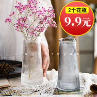 后庭花 北欧简约ins风浮雕玻璃花瓶水培绿萝鲜花小花瓶客厅创意插花摆件 15cm锥桶：【花纹】烟灰色2个