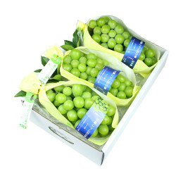 plus会员雅聪国产晴王葡萄阳光玫瑰2斤串装大颗粒