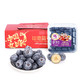 JAVA 佳沃 云南精选蓝莓超大果18mm+ 4盒礼盒装 约125g/盒 新鲜水果