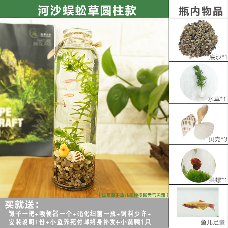 韩锦微景观生态瓶观赏鱼虾好养活真水草迷你桌面小鱼缸diy作业礼物生态瓶微景观水族箱造景斗鱼缸韩锦生态瓶圆柱河沙绿菊花 报价价格评测怎么样 什么值得买 韩锦微景观生态瓶观赏鱼虾好养活真水草迷你桌面小鱼缸diy作业礼物生态瓶微景观水族箱造景斗鱼缸韩锦生态瓶圆柱河沙绿菊花 报价价格评测怎么样 什么值得买