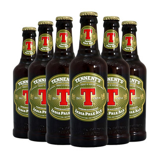 TENNENT IPA啤酒 330ml*6瓶