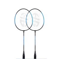 DHS 红双喜 红冠系列 108 羽毛球拍 双蓝色 双拍