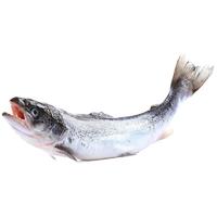 acornfresh 挪威 大西洋鲑鱼 400g