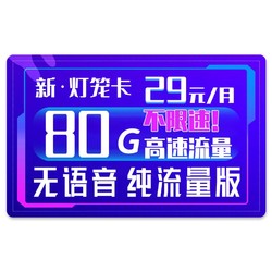 CHINA TELECOM 中国电信 电信灯笼卡 29元/月（70G通用流量、30G定向流量）长期套餐