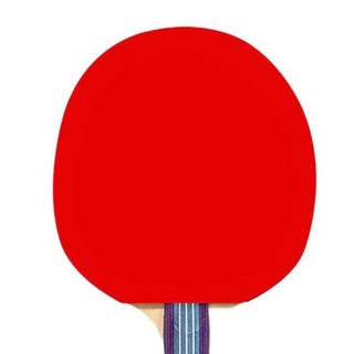 DOUBLE FISH 双鱼 516B 乒乓球拍套装 红色 双拍 (一横一直)